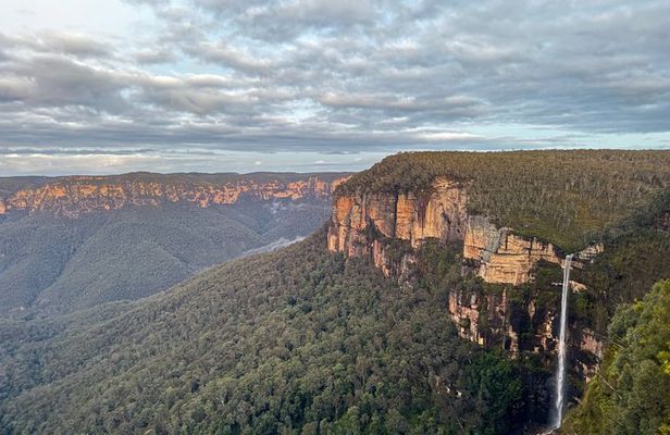 Blue Mountains Birdwatching Adventure