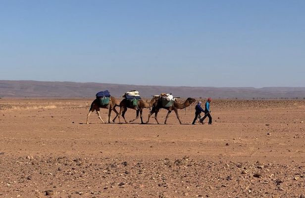 3 Day Private Camel Ride Tour from M'Hamid to Erg Ait Ounir,