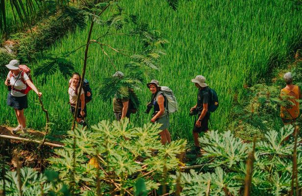 Yogyakarta Multiday Private Program for Senior and Slow Travelers