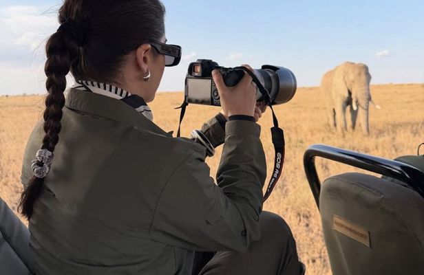 1 Day Ngorongoro Crater Safari Tour from Arusha