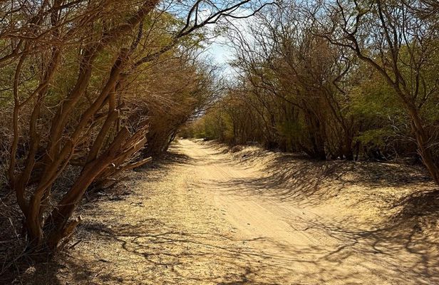 Boa Vista Grand Canyon Hidden Beaches Shipwreck Adventure