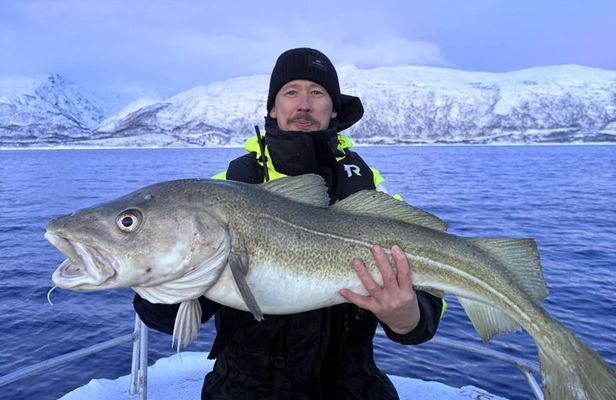 Private Fishing Tour Tromso Open Boat