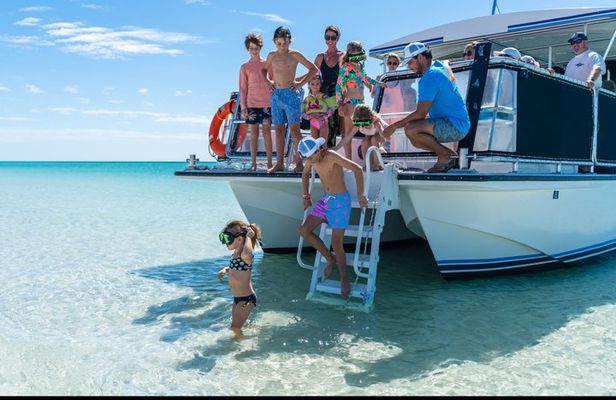 Private Charter: Shell Island Snorkeling & Dolphin Adventure