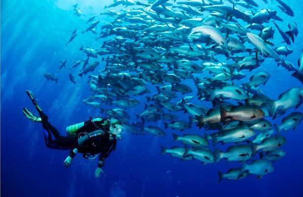 PADI Advanced Open Water Diver Course