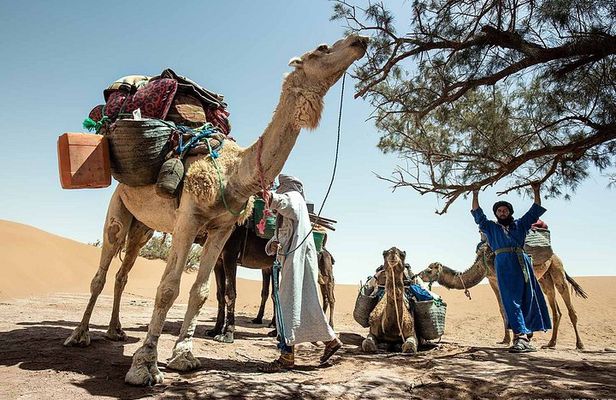 Desert Trek Morocco 3 Days