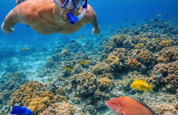 Private Reef Fishing and Snorkeling Adventure
