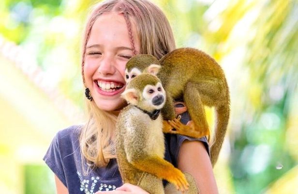 Punta Cana Horseback Riding Tour To Monkeyland & Macao Beach