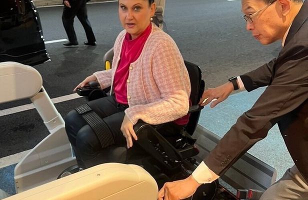 Accessible Mt Fuji and Hakone Tour with English Speaking Driver