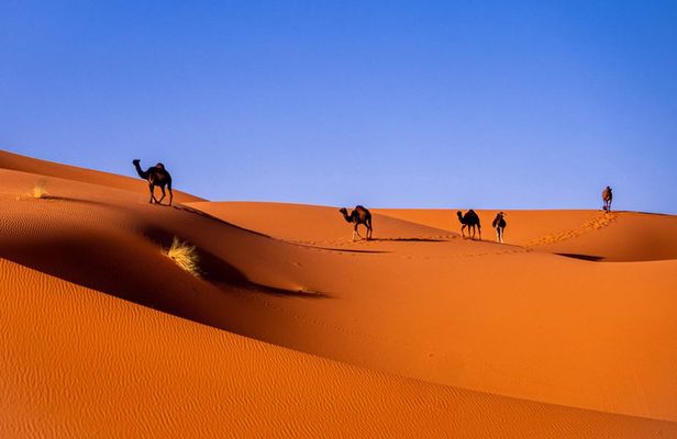 4 day Marrakech to Sahara Desert Tour & nomad visit experience