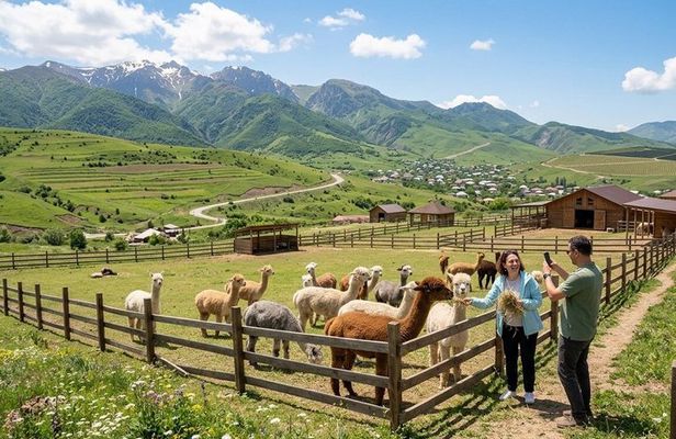 Shamakhi Alpacas & Lahıc İsmayilli Day Trip