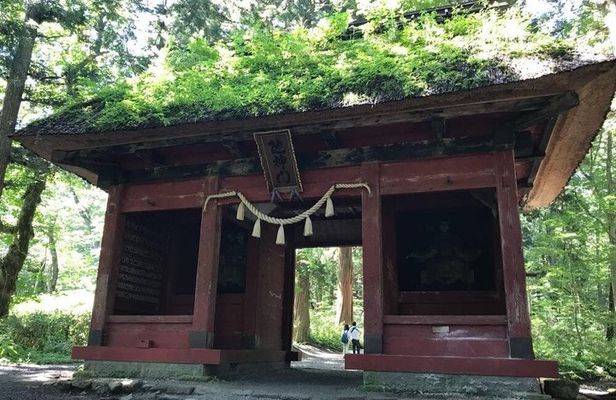 Togakushi Shrine & Snow Monkey Full-day Private Tour