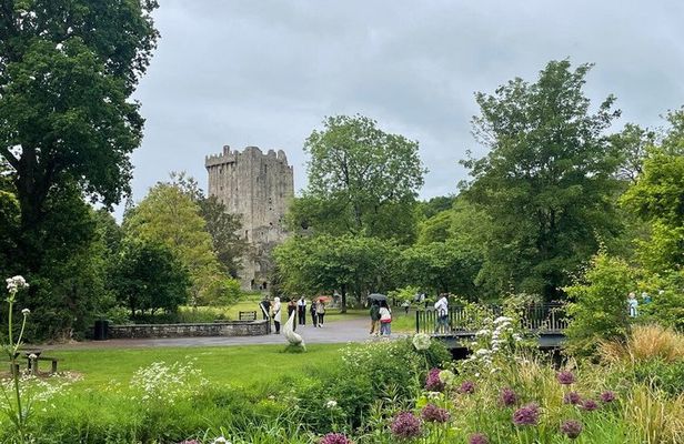 Timeless Cork - Luxury Tour of Cork City, Blarney, Kinsale & Cobh