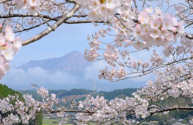 Kirishima Highlights from Kagoshima Port by Private Car