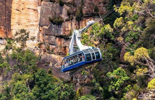 Blue Mountains Adventure Wild Boar Rock and Cable Car