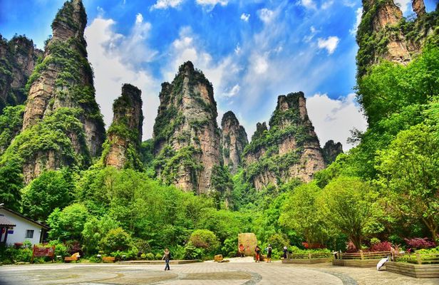 Private 1 Tour Zhangjiajie National Forest Park Avatar Mountain