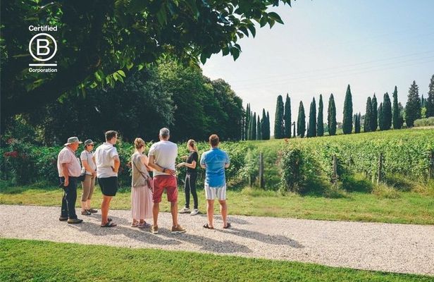 Amarone Wine Tasting Tour from Verona with Private Transportation
