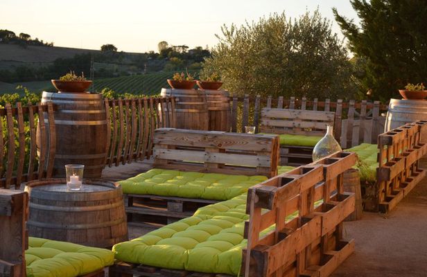 Organic Wine Tasting and Local Food with View near Rimini
