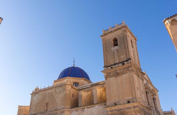Cultural Tour of the Palmeral and Historic Center of Elche