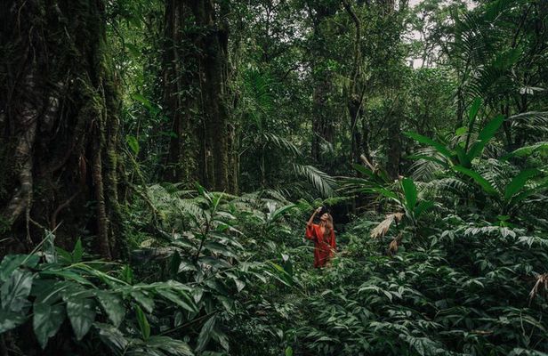 Munduk Twin Lake Jungle Trek with Sacred Forest Temples&Canoeing