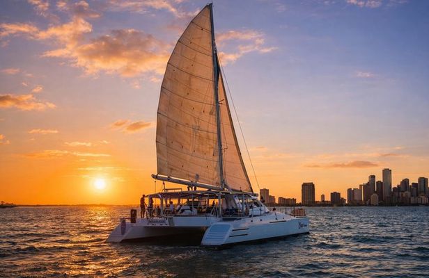 Sunset Catamaran Cruise in Miami with Open Bar and Appetizers