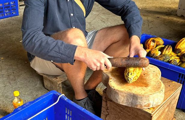 Thai Chocolate Experience in Chiang Mai