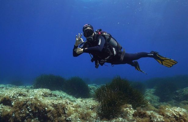 Discover Scuba Diving your first underwater experience