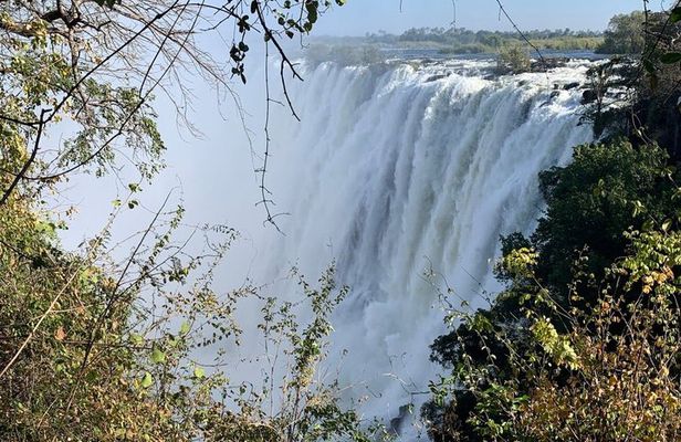 Guided Victoria Falls Tour: Nature & Photography