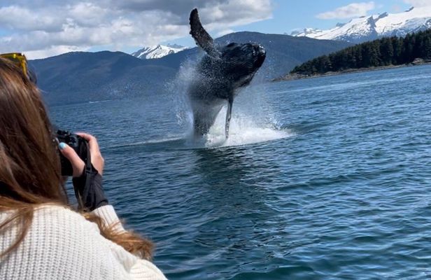 Private Whale Watching Experience (Up to 6 Guests)