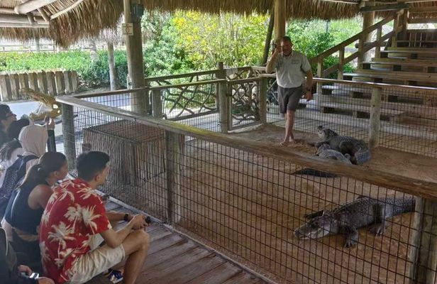 Miami Everglades National Park Half Day Small Group Tour