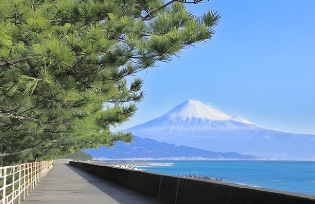 Shimizu, Shizuoka: Private Custom Tour with Local Guide