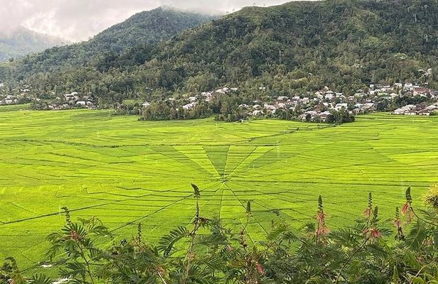 Explore West Flores: Spiderweb Field and Hobbit Cave