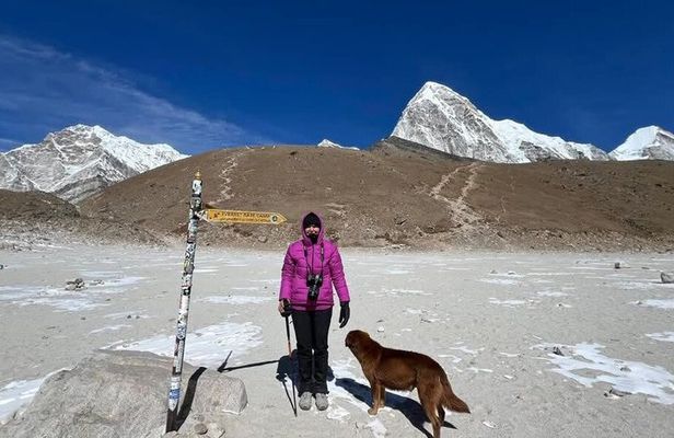 14 Day Guided Everest Base Camp Trek Adventure