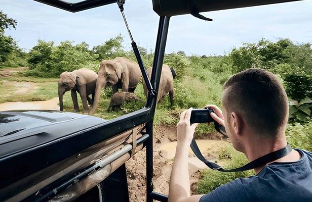 Private Tour from Ella to Hiriketiya with Udawalawe Safari
