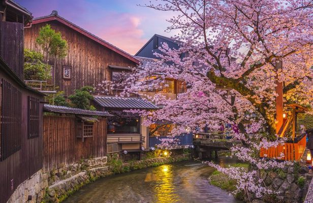 Kyoto Gion Geisha District & Hidden Gems Walking Tour