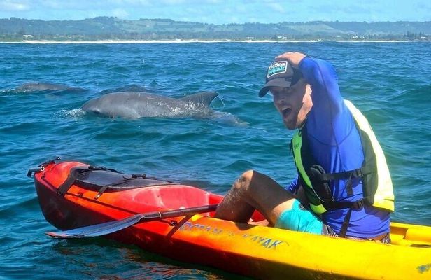 Guided Mangrove Kayak and Beach Tours