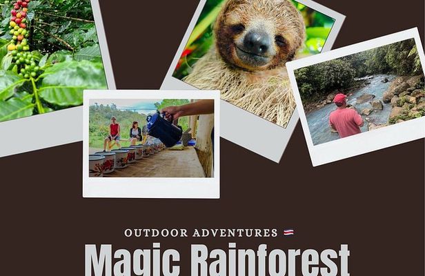Private Magic Rainforest Blue River, Wildlife & Waterfalls Tour