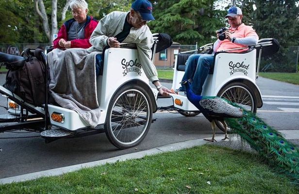 1hr Top-Rated Victoria Pedicab Tour–Cruise Ship or Empress Pickup