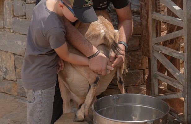 Crete Authentic farm experience