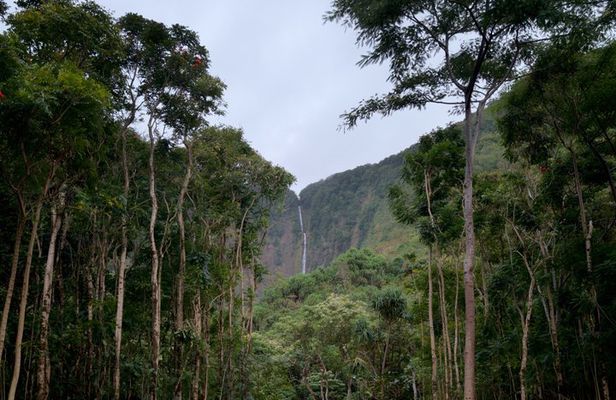 Cultural Stewardship in Waipiʻo Valley PRIVATE
