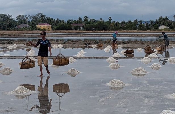 Kampot Pepper Farm, Salt Field, Secret Lake & Kep Tour With SUV