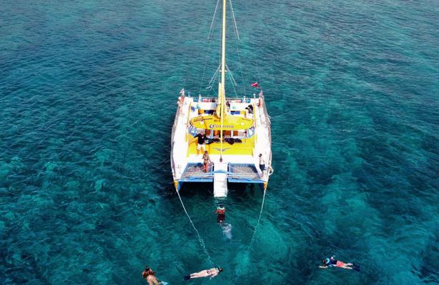 2 Hour Swim, Snorkel & Sail (Kewalo Harbor)