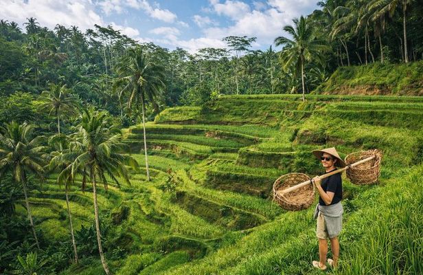 Ubud Highlights Private Tour - Temple, Rice Terrace and Waterfall