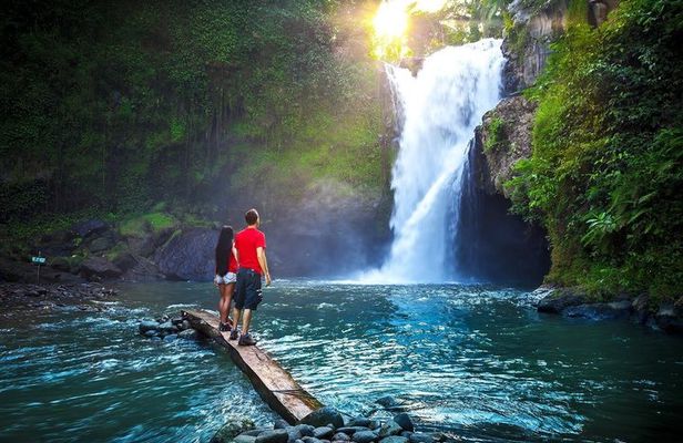 Bali: Ubud Tour-Waterfall, Monkey forest, Rice terrace & Temple