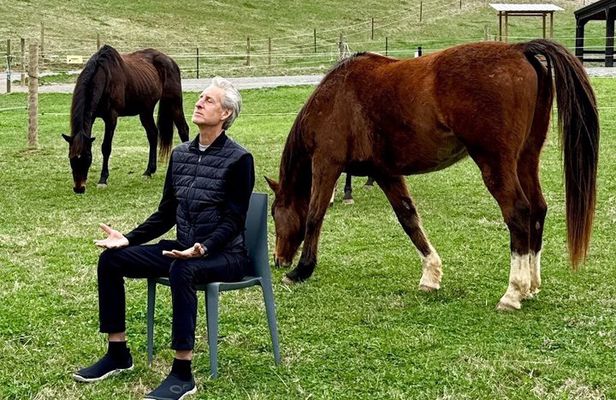 Meditation with Horses in Asheville