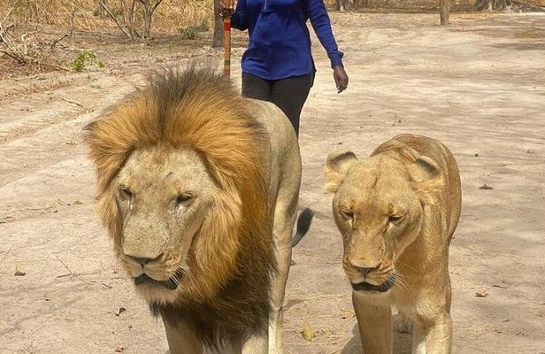 Fathala Wild Life Reserve Safari