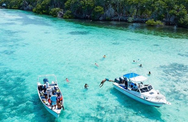 SAONA island full-day tour from Punta Cana / all inclusive