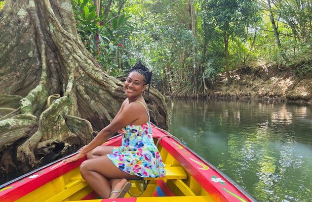 Northern Treasures of Dominica: River | Falls & Beach Tour