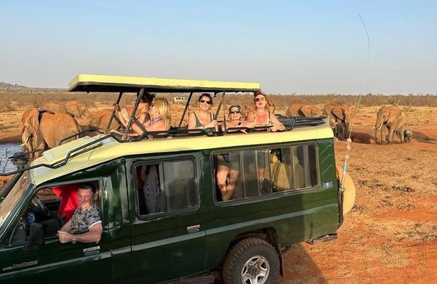 Stavo East 2days 1 night Voi Wildlife Lodge