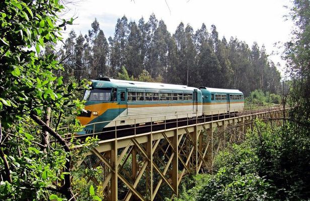 3 Day Private Maule Wine Tour Coastal Train and Gastronomy