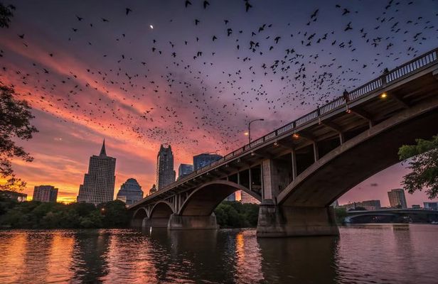 Austin's Best Bars and Bats 3-Hour Guided Tour